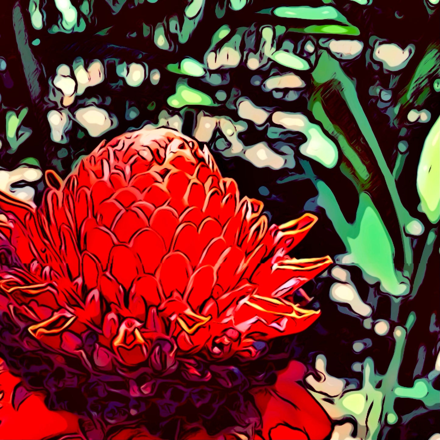 Koolaupoko--Red Torch Ginger