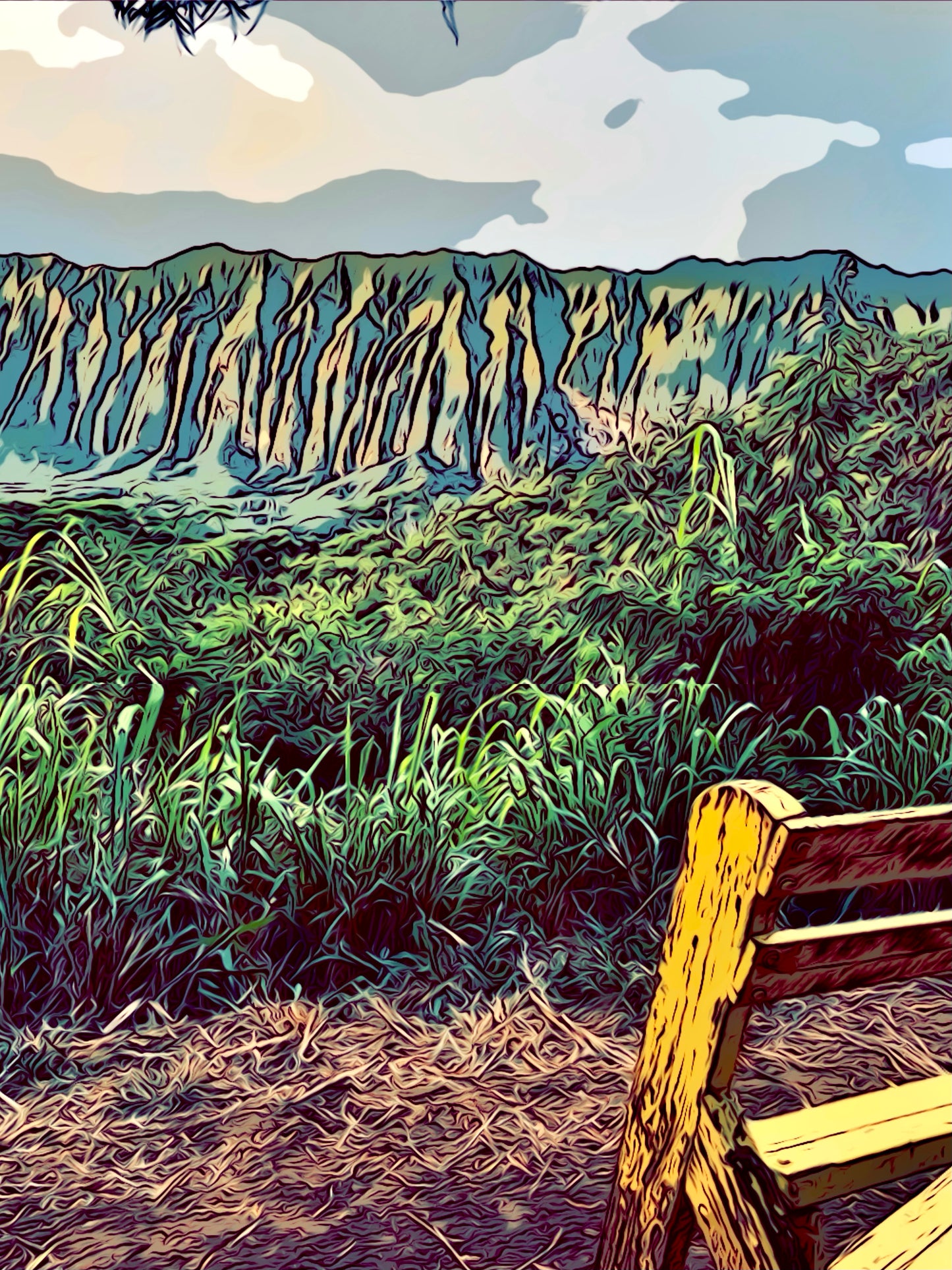 'Ohana Trail—Yellow Bench